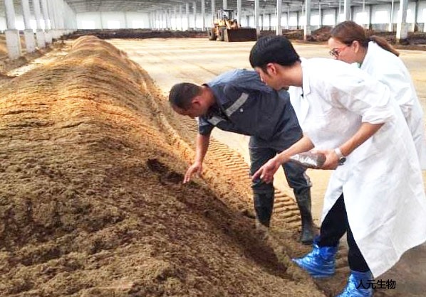 秋季給果樹施肥使用什么有機肥