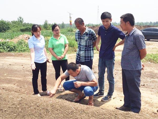 生物有機肥介紹及與農(nóng)家肥的區(qū)別