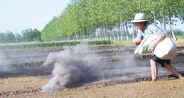 鉀肥是什么肥料，鉀肥的種類有哪些？