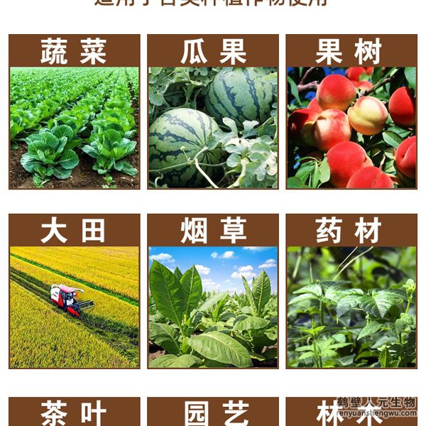 【地二春】土傳病害防治菌劑適用范圍