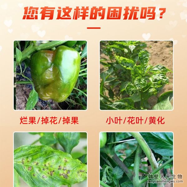 多氨豆粕菌肥系列辣椒專用肥適用范圍：適用于櫻桃椒、朝天椒、燈籠椒、羊角椒、線椒、彩椒、甜柿椒、牛角椒等辣椒類品種。