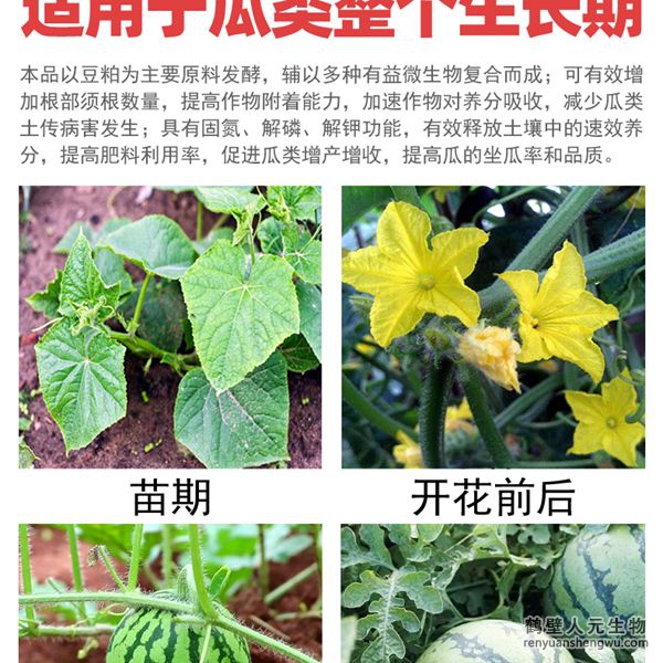 多氨豆粕菌肥系列瓜類專用肥適用范圍：適用于西瓜、甜瓜、哈密瓜等瓜類作物。