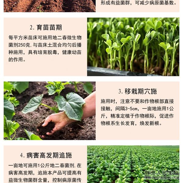 【地二春】土傳病害防治菌劑使用方法2