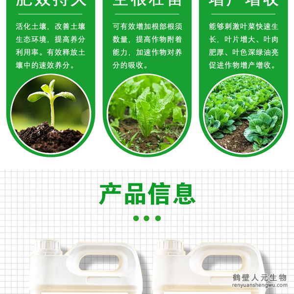 施用后各種營養(yǎng)物質(zhì)能夠被葉菜迅速吸收并在體內(nèi)自由傳導(dǎo)，能夠刺激葉菜生長細胞組織的快速分裂與增長，使葉菜快速生長，強化葉菜體內(nèi)新陳代謝，加速蛋白質(zhì)合成，促進葉綠素的形成，增強光合作用，